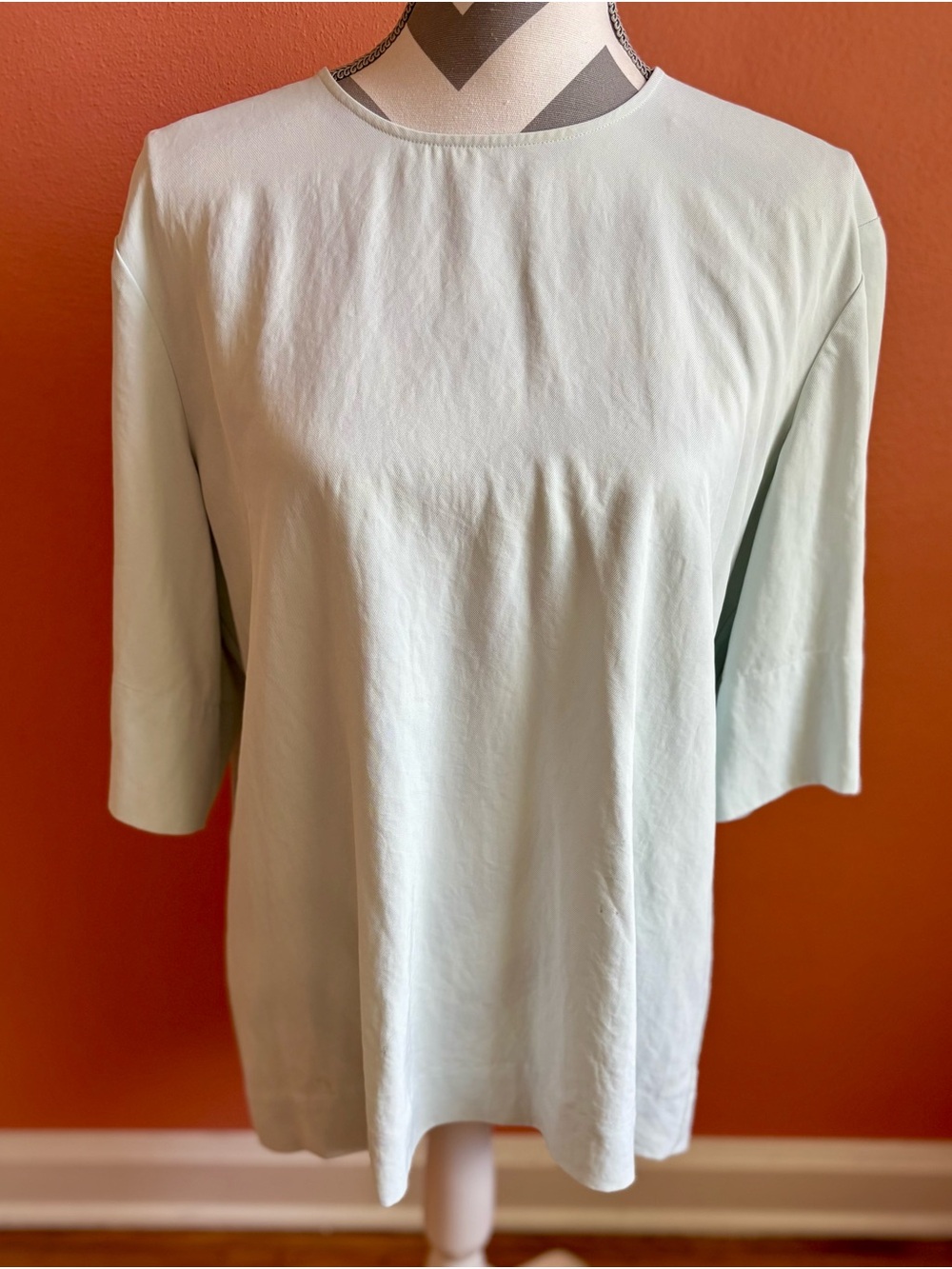 Everlane Mint Three-Quarter Sleeve Top with Zipper In Back